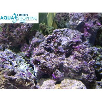 ROCCE VIVE PER ACQUARIO MARINO